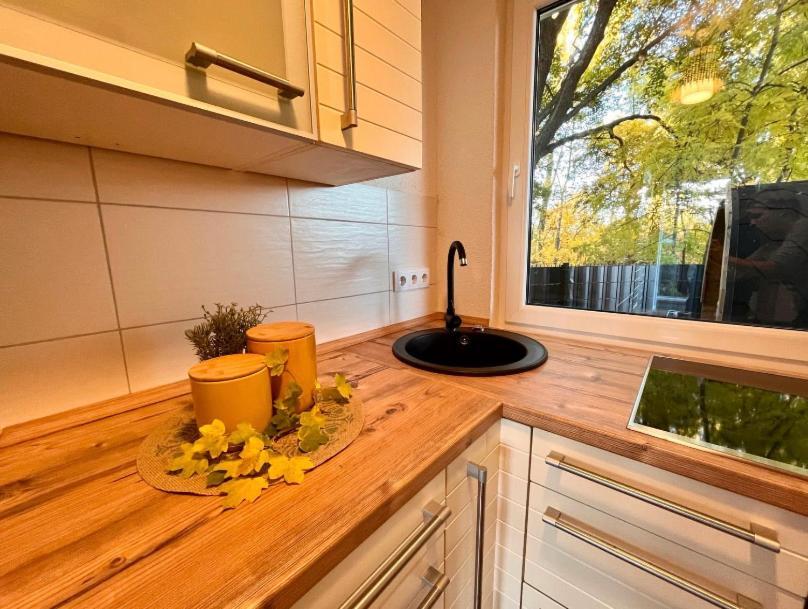 Ferienhaus Harzblick Meisdorf المظهر الخارجي الصورة